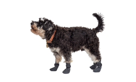 Sport Kutyacipő Zokni