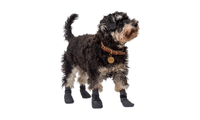 Sport Kutyacipő Zokni