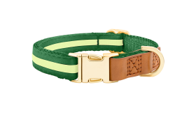 Kutyanyakörv Arany Csattal