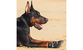 360° Fényvisszaverő Vízálló Kutyacipő – Csúszásgátló Tappancsvédő