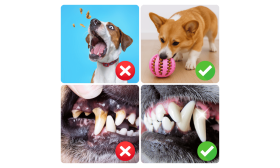 Interaktív Kutyakeksz Adagoló Labda – Gumijáték Kutyáknak Mentális Gazdagításhoz