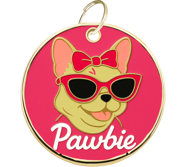 Gravírozott Pawbie kutyabiléta