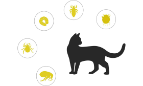 Természetes Bolha és Kullancs Elleni Nyakörv Macskának