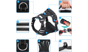 Nem Húzható Kutyahám